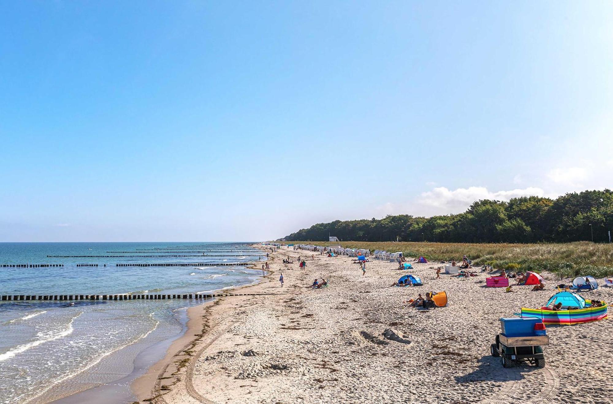 Seebaer Mit Terrasse Zingst Εξωτερικό φωτογραφία