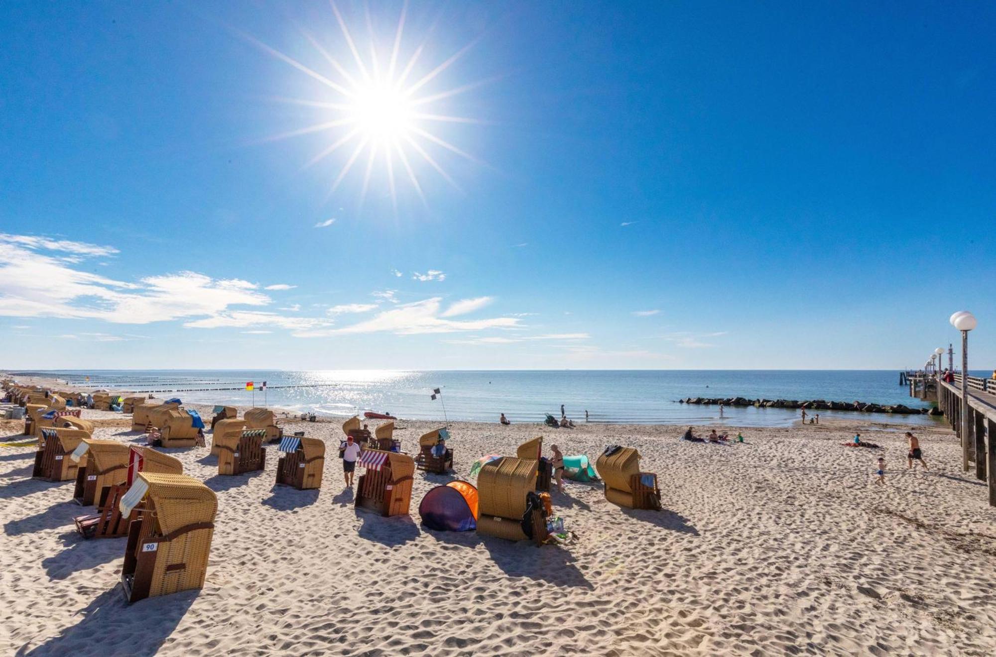 Seebaer Mit Terrasse Zingst Εξωτερικό φωτογραφία